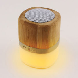 eco 17