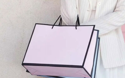 Customized paper bag WTC 001