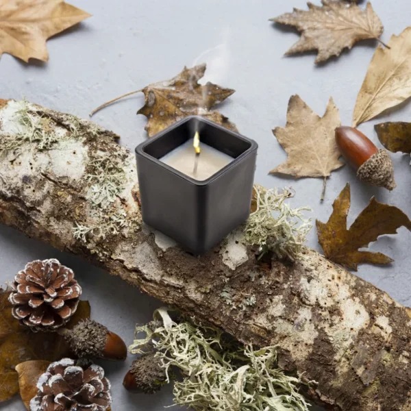 Scented-Candle-in-Oakmoss-and-Am ()
